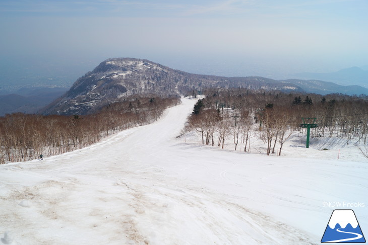 サッポロテイネ 現在積雪 215cm。山麓まで思いっきり滑れます！